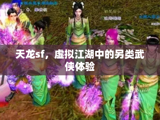 天龙sf，虚拟江湖中的另类武侠体验