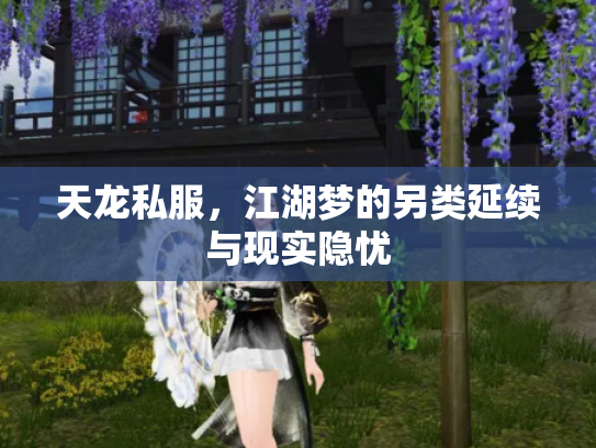 天龙私服，江湖梦的另类延续与现实隐忧