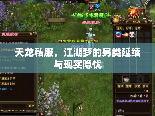 天龙私服，江湖梦的另类延续与现实隐忧