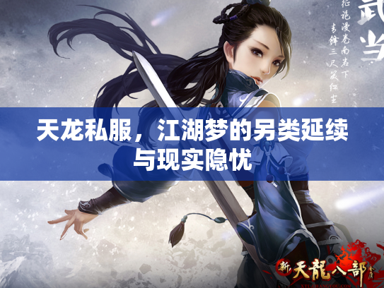 天龙私服，江湖梦的另类延续与现实隐忧