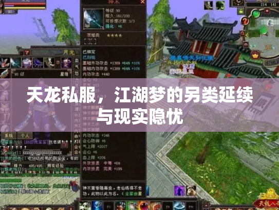 天龙私服，江湖梦的另类延续与现实隐忧