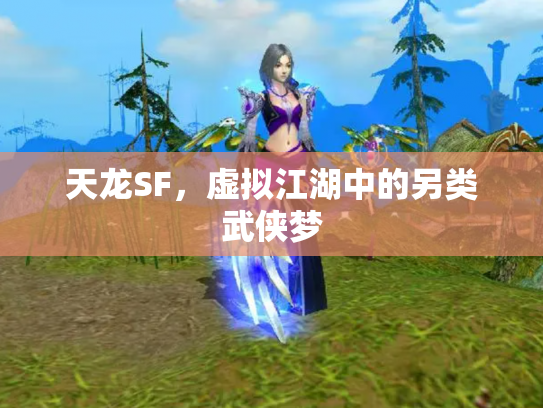 天龙SF，虚拟江湖中的另类武侠梦