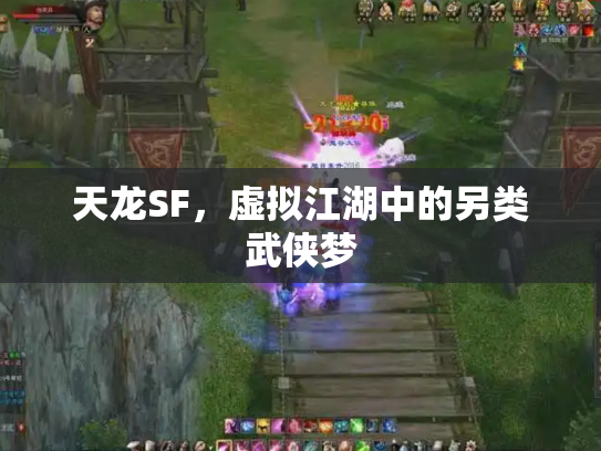 天龙SF，虚拟江湖中的另类武侠梦
