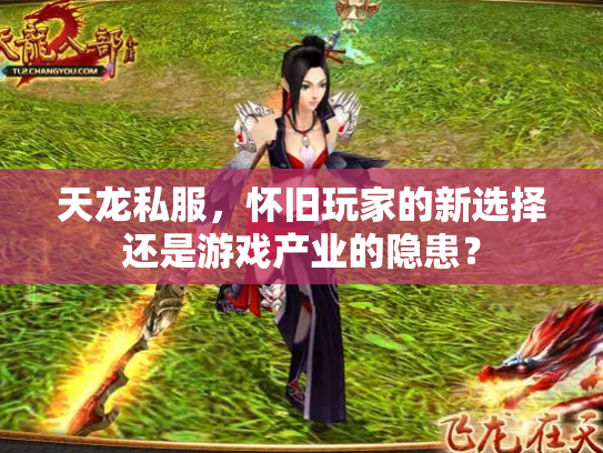 天龙私服，怀旧玩家的新选择还是游戏产业的隐患？