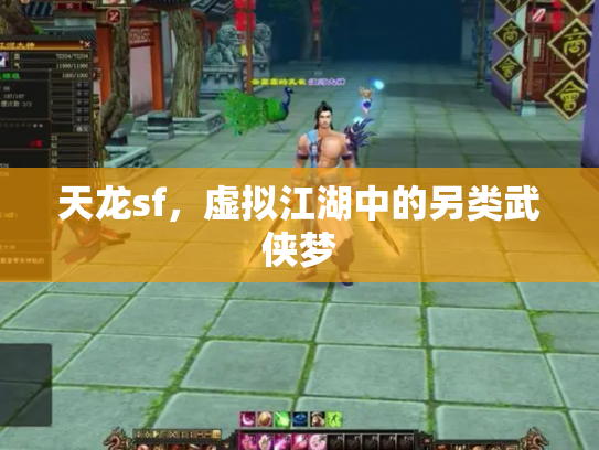 天龙sf，虚拟江湖中的另类武侠梦