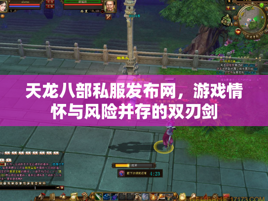 天龙八部私服发布网，游戏情怀与风险并存的双刃剑