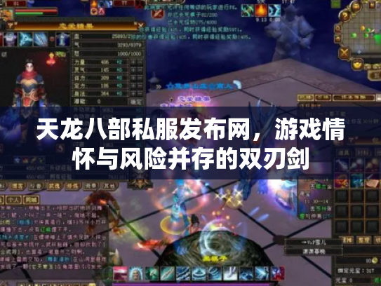 天龙八部私服发布网，游戏情怀与风险并存的双刃剑