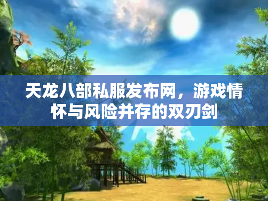 天龙八部私服发布网，游戏情怀与风险并存的双刃剑