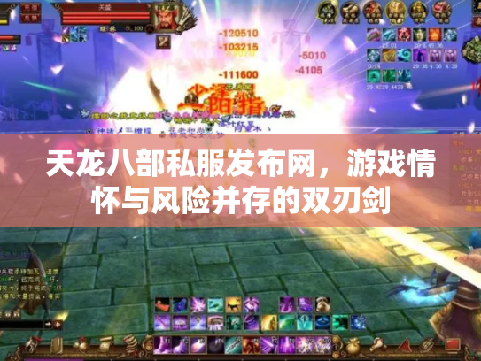 天龙八部私服发布网，游戏情怀与风险并存的双刃剑