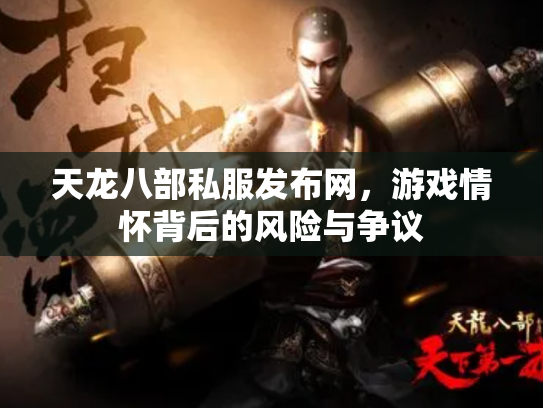 天龙八部私服发布网，游戏情怀背后的风险与争议