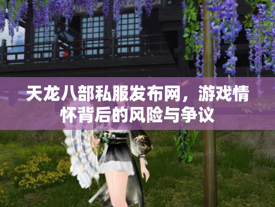 天龙八部私服发布网，游戏情怀背后的风险与争议