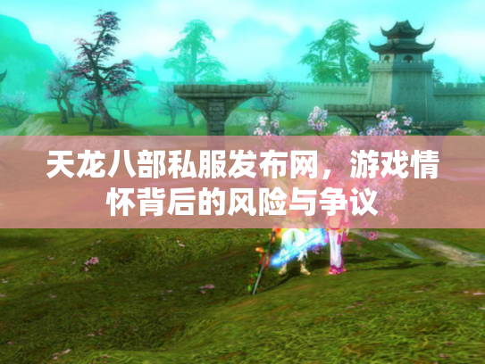 天龙八部私服发布网，游戏情怀背后的风险与争议
