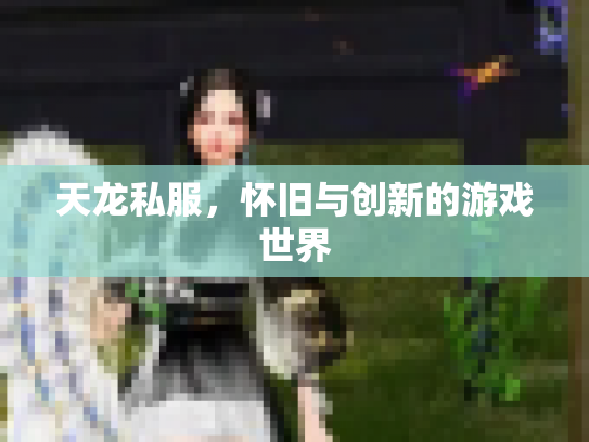 天龙私服，怀旧与创新的游戏世界