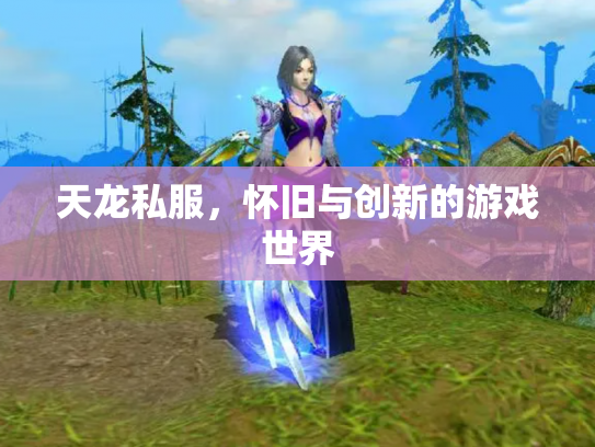 天龙私服，怀旧与创新的游戏世界