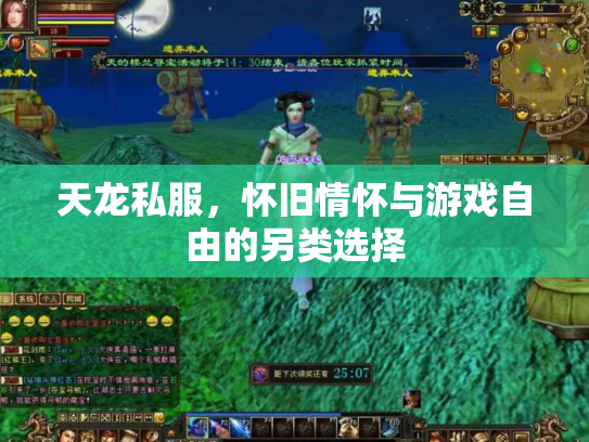 天龙私服，怀旧情怀与游戏自由的另类选择