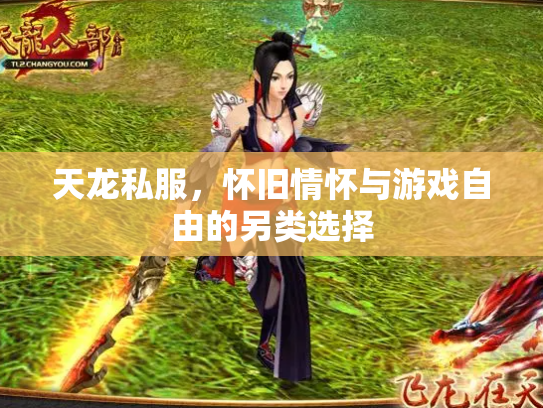 天龙私服，怀旧情怀与游戏自由的另类选择