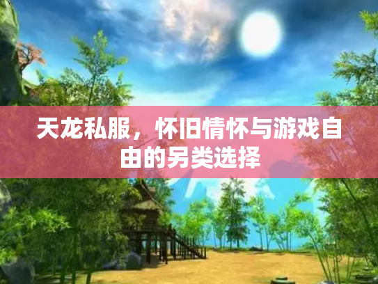 天龙私服，怀旧情怀与游戏自由的另类选择