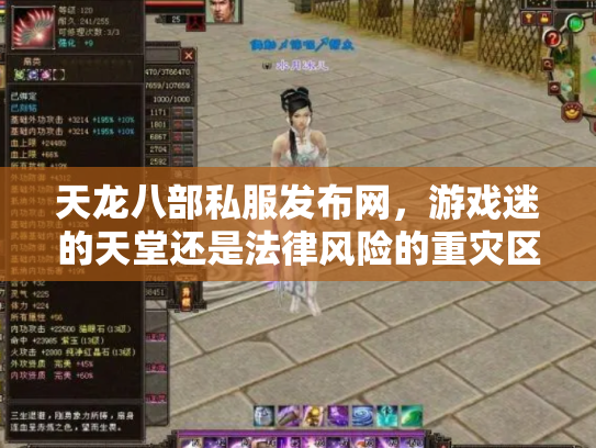 天龙八部私服发布网，游戏迷的天堂还是法律风险的重灾区？