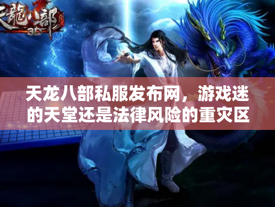 天龙八部私服发布网，游戏迷的天堂还是法律风险的重灾区？