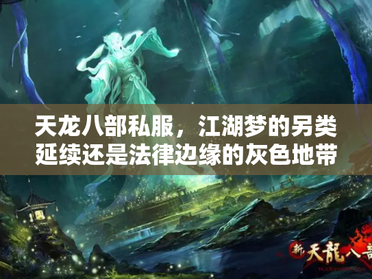 天龙八部私服，江湖梦的另类延续还是法律边缘的灰色地带？