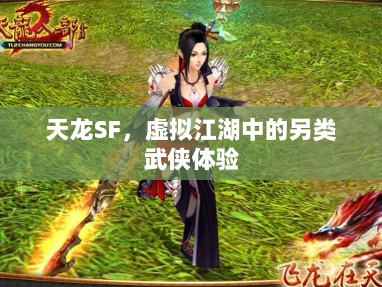 天龙SF，虚拟江湖中的另类武侠体验