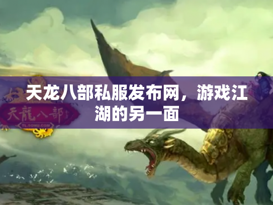 天龙八部私服发布网，游戏江湖的另一面
