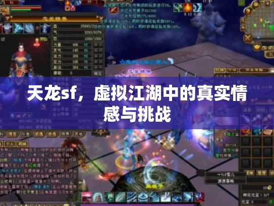 天龙sf，虚拟江湖中的真实情感与挑战