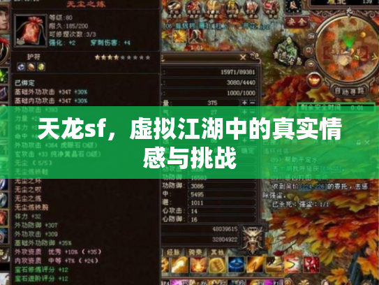 天龙sf，虚拟江湖中的真实情感与挑战