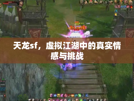 天龙sf，虚拟江湖中的真实情感与挑战