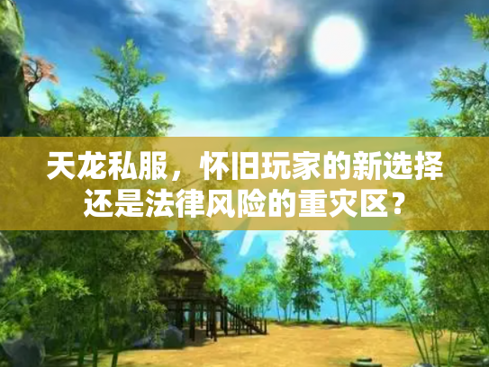 天龙私服，怀旧玩家的新选择还是法律风险的重灾区？