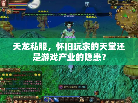 天龙私服，怀旧玩家的天堂还是游戏产业的隐患？