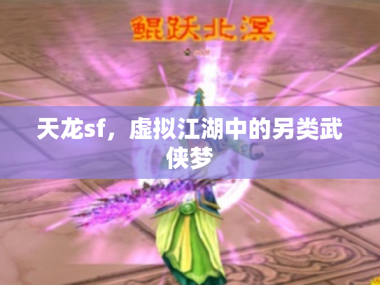 天龙sf，虚拟江湖中的另类武侠梦
