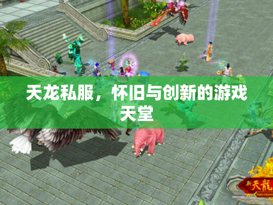 天龙私服，怀旧与创新的游戏天堂