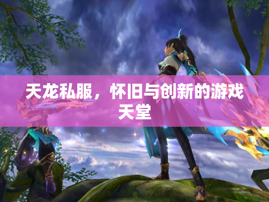 天龙私服，怀旧与创新的游戏天堂