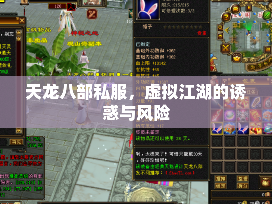 天龙八部私服，虚拟江湖的诱惑与风险