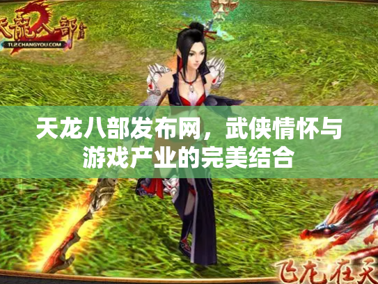 天龙八部发布网，武侠情怀与游戏产业的完美结合