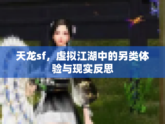 天龙sf，虚拟江湖中的另类体验与现实反思
