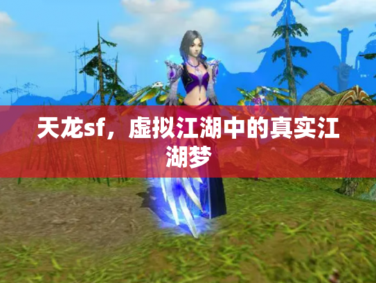 天龙sf，虚拟江湖中的真实江湖梦