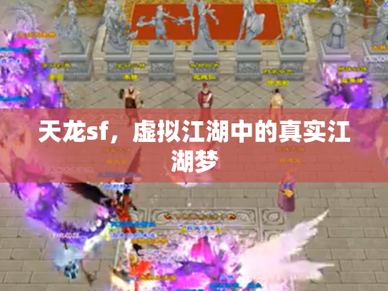 天龙sf，虚拟江湖中的真实江湖梦