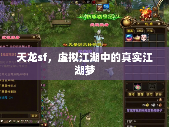 天龙sf，虚拟江湖中的真实江湖梦
