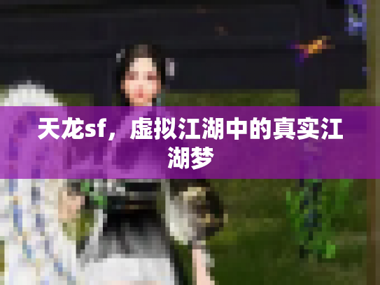 天龙sf，虚拟江湖中的真实江湖梦