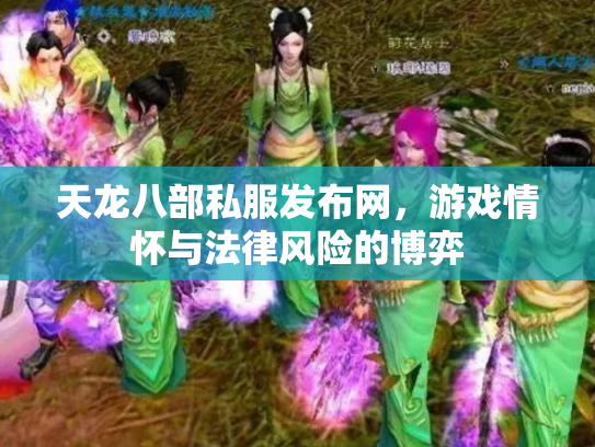 天龙八部私服发布网，游戏情怀与法律风险的博弈