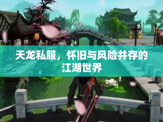 天龙私服，怀旧与风险并存的江湖世界