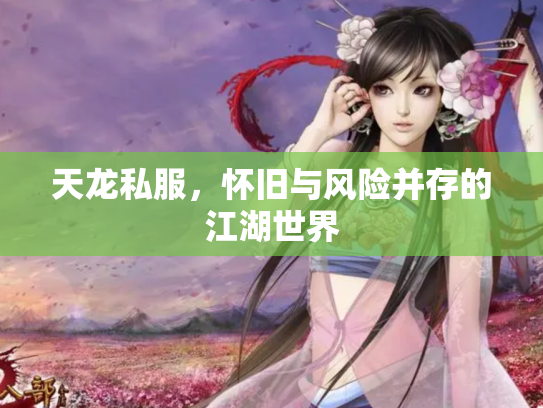 天龙私服，怀旧与风险并存的江湖世界