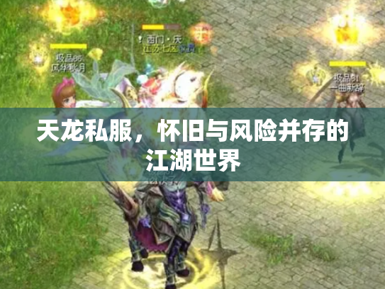 天龙私服，怀旧与风险并存的江湖世界