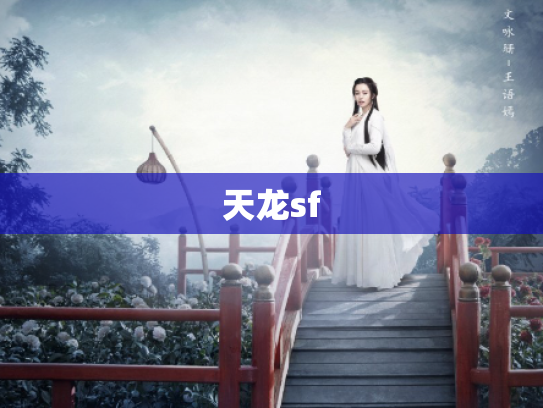 天龙sf