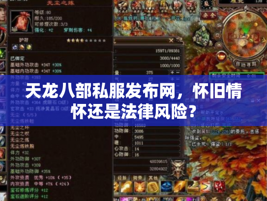 天龙八部私服发布网，怀旧情怀还是法律风险？
