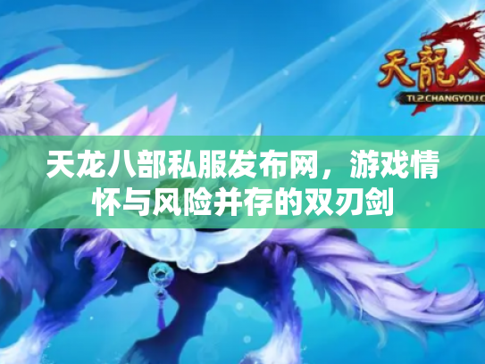 天龙八部私服发布网，游戏情怀与风险并存的双刃剑