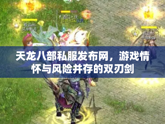 天龙八部私服发布网，游戏情怀与风险并存的双刃剑