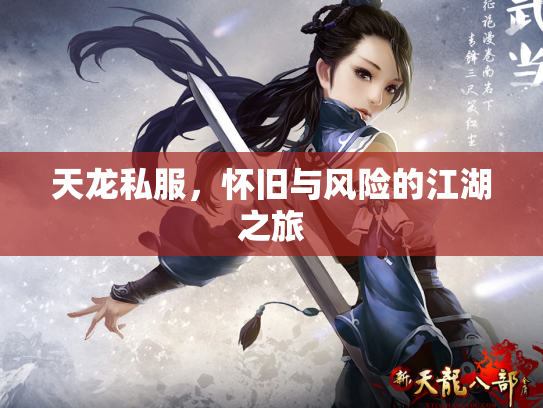 天龙私服，怀旧与风险的江湖之旅
